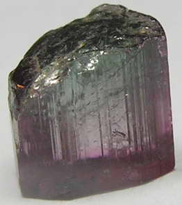 Bi-Color Tourmaline - 7.41ct - Hand Select Gem Rough - prettyrock.com