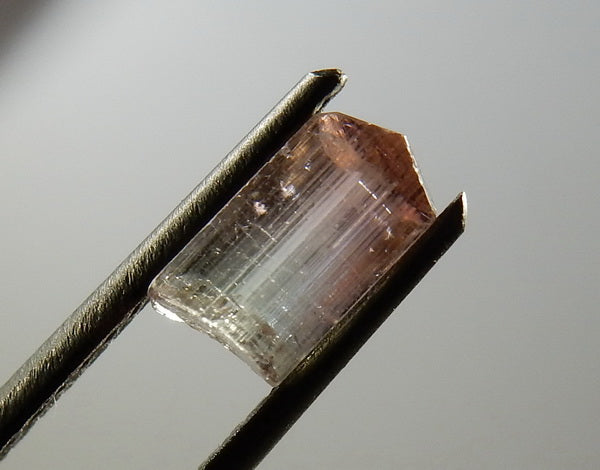 Bi-Color Tourmaline - 1.77ct - Hand Select Gem Rough - prettyrock.com