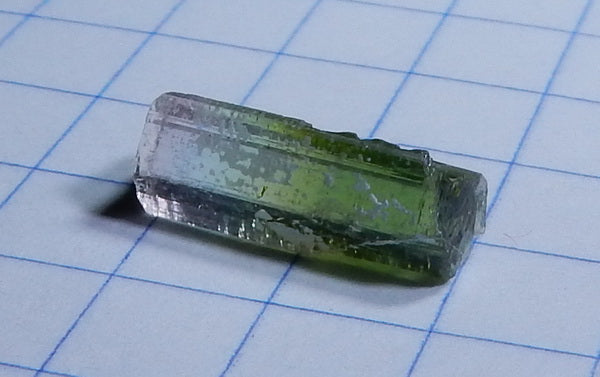 Bi-Color Tourmaline - 3.44ct - Hand Select Gem Rough - prettyrock.com