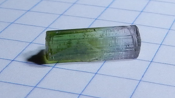 Bi-Color Tourmaline - 3.44ct - Hand Select Gem Rough - prettyrock.com