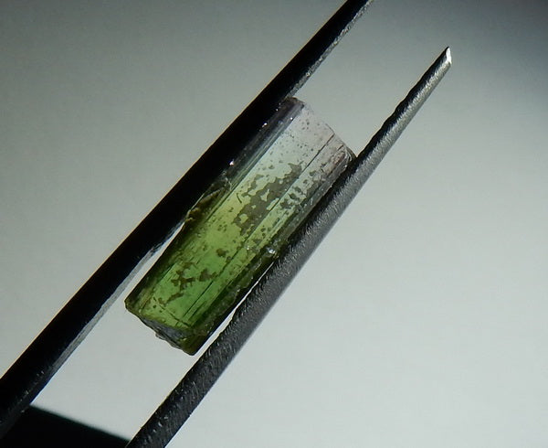 Bi-Color Tourmaline - 3.44ct - Hand Select Gem Rough - prettyrock.com