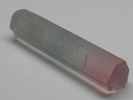 Bi-Color Tourmaline - 11.53ct - Hand Select Gem Rough - prettyrock.com