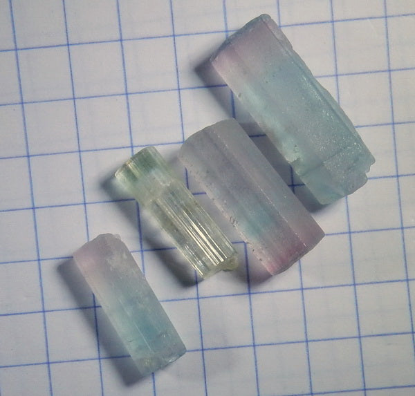 Bi-Color Tourmaline - 37.74ct - Hand Select Gem Rough - prettyrock.com