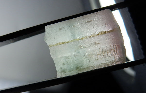 Bi-Color Tourmaline - 54.69ct - Hand Select Gem Rough - prettyrock.com