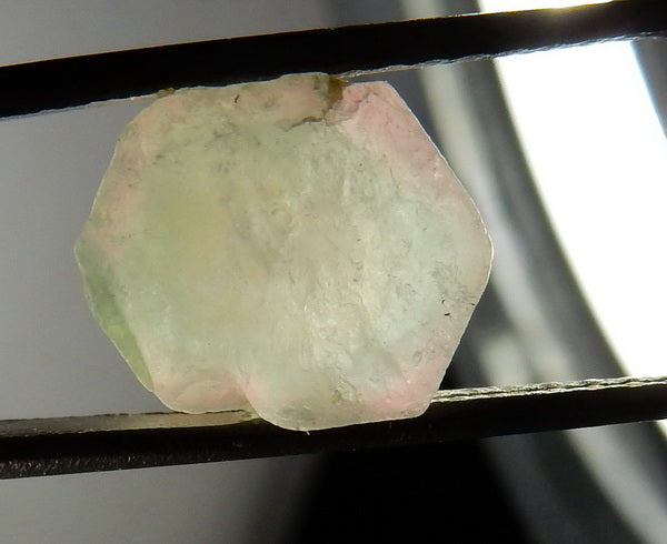 Bi-Color Tourmaline - 54.69ct - Hand Select Gem Rough - prettyrock.com