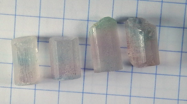 Bi-Color Tourmaline - 26.3ct - Hand Select Gem Rough - prettyrock.com