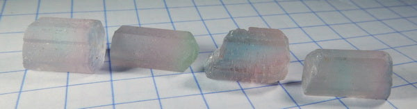 Bi-Color Tourmaline - 26.3ct - Hand Select Gem Rough - prettyrock.com