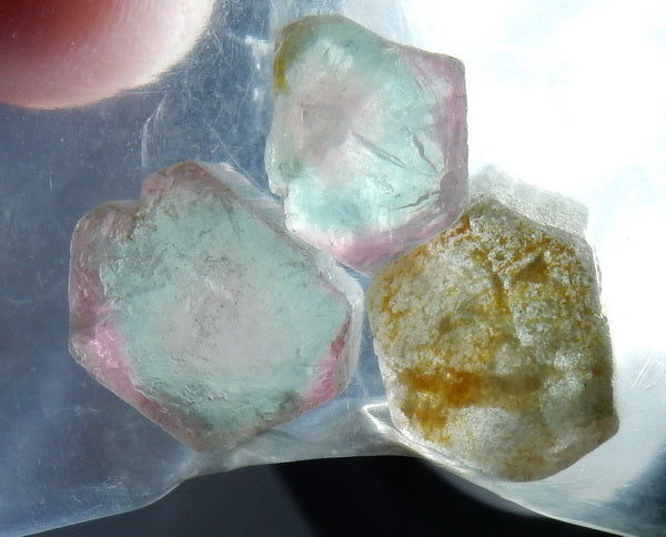 Bi-Color Tourmaline - 30.82ct - Hand Select Gem Rough - prettyrock.com