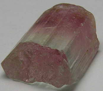 Bi-Color Tourmaline - 10.44ct - Hand Select Gem Rough - prettyrock.com