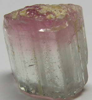 Bi-Color Tourmaline - 10.44ct - Hand Select Gem Rough - prettyrock.com