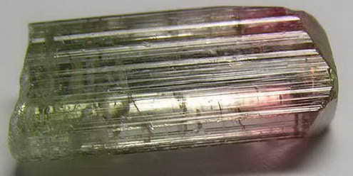 Bi-Color Tourmaline - 11.81ct - Hand Select Gem Rough - prettyrock.com