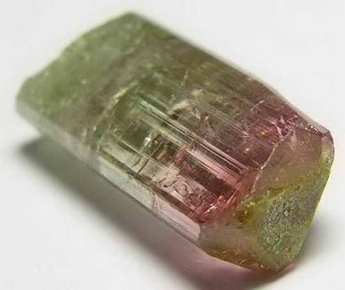 Bi-Color Tourmaline - 11.81ct - Hand Select Gem Rough - prettyrock.com