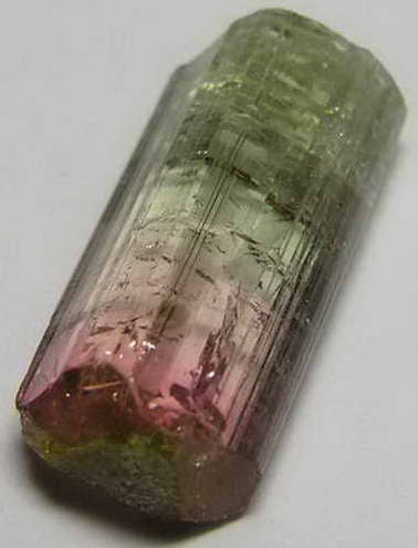 Bi-Color Tourmaline - 11.81ct - Hand Select Gem Rough - prettyrock.com