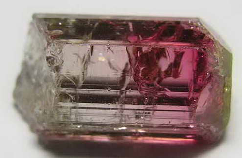 Bi-Color Tourmaline - 11.28ct - Hand Select Gem Rough - prettyrock.com