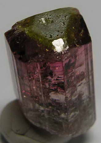 Bi-Color Tourmaline - 11.28ct - Hand Select Gem Rough - prettyrock.com
