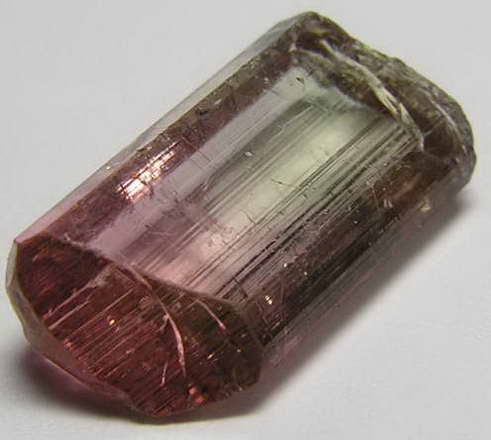 Bi-Color Tourmaline - 6.31ct - Hand Select Gem Rough - prettyrock.com