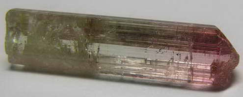 Bi-Color Tourmaline - 7.34ct - Hand Select Gem Rough - prettyrock.com