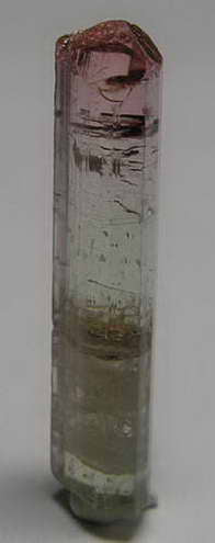 Bi-Color Tourmaline - 7.34ct - Hand Select Gem Rough - prettyrock.com