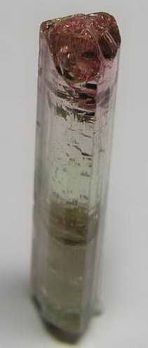 Bi-Color Tourmaline - 7.34ct - Hand Select Gem Rough - prettyrock.com