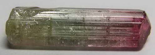 Bi-Color Tourmaline - 10.94ct - Hand Select Gem Rough - prettyrock.com