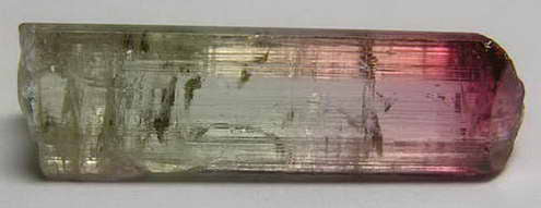 Bi-Color Tourmaline - 10.94ct - Hand Select Gem Rough - prettyrock.com