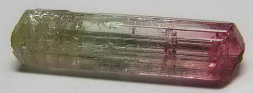 Bi-Color Tourmaline - 10.94ct - Hand Select Gem Rough - prettyrock.com