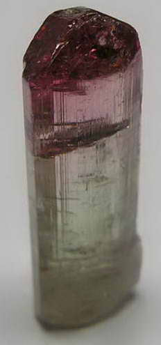 Bi-Color Tourmaline - 10.94ct - Hand Select Gem Rough - prettyrock.com