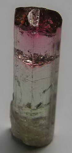 Bi-Color Tourmaline - 10.94ct - Hand Select Gem Rough - prettyrock.com
