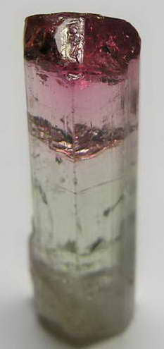 Bi-Color Tourmaline - 10.94ct - Hand Select Gem Rough - prettyrock.com