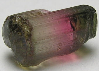 Bi-Color Tourmaline - 6.46ct - Hand Select Gem Rough - prettyrock.com