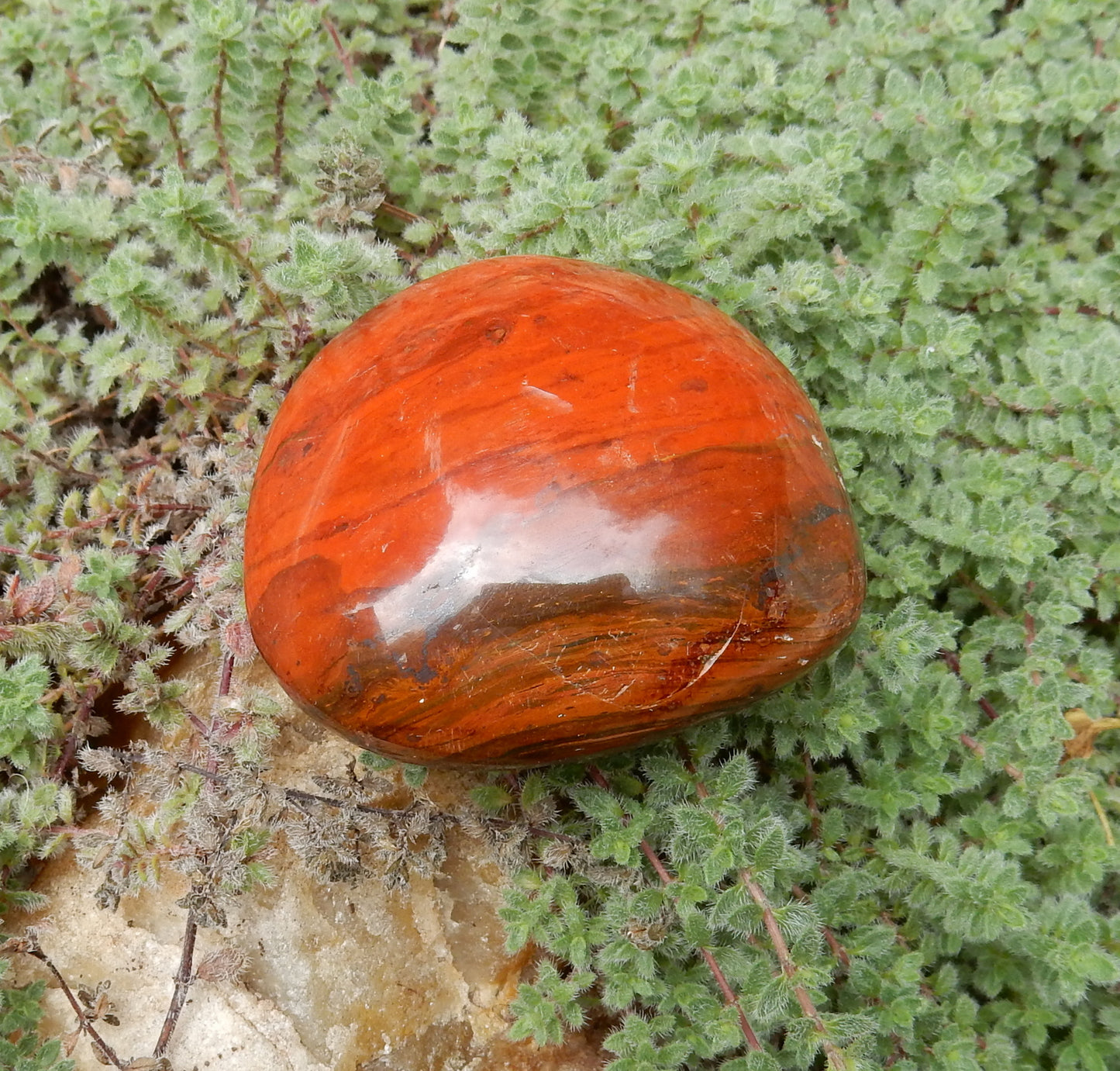 Red Agate Palm Stone - 400.5 ct - prettyrock.com