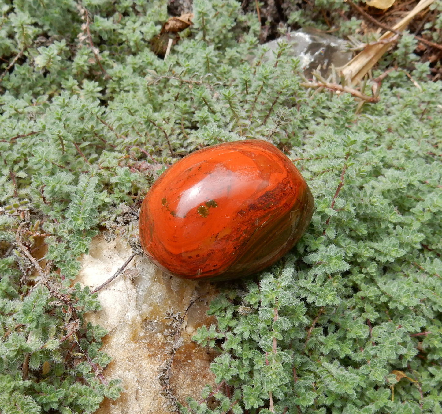 Red Agate Palm Stone - 375 ct - prettyrock.com