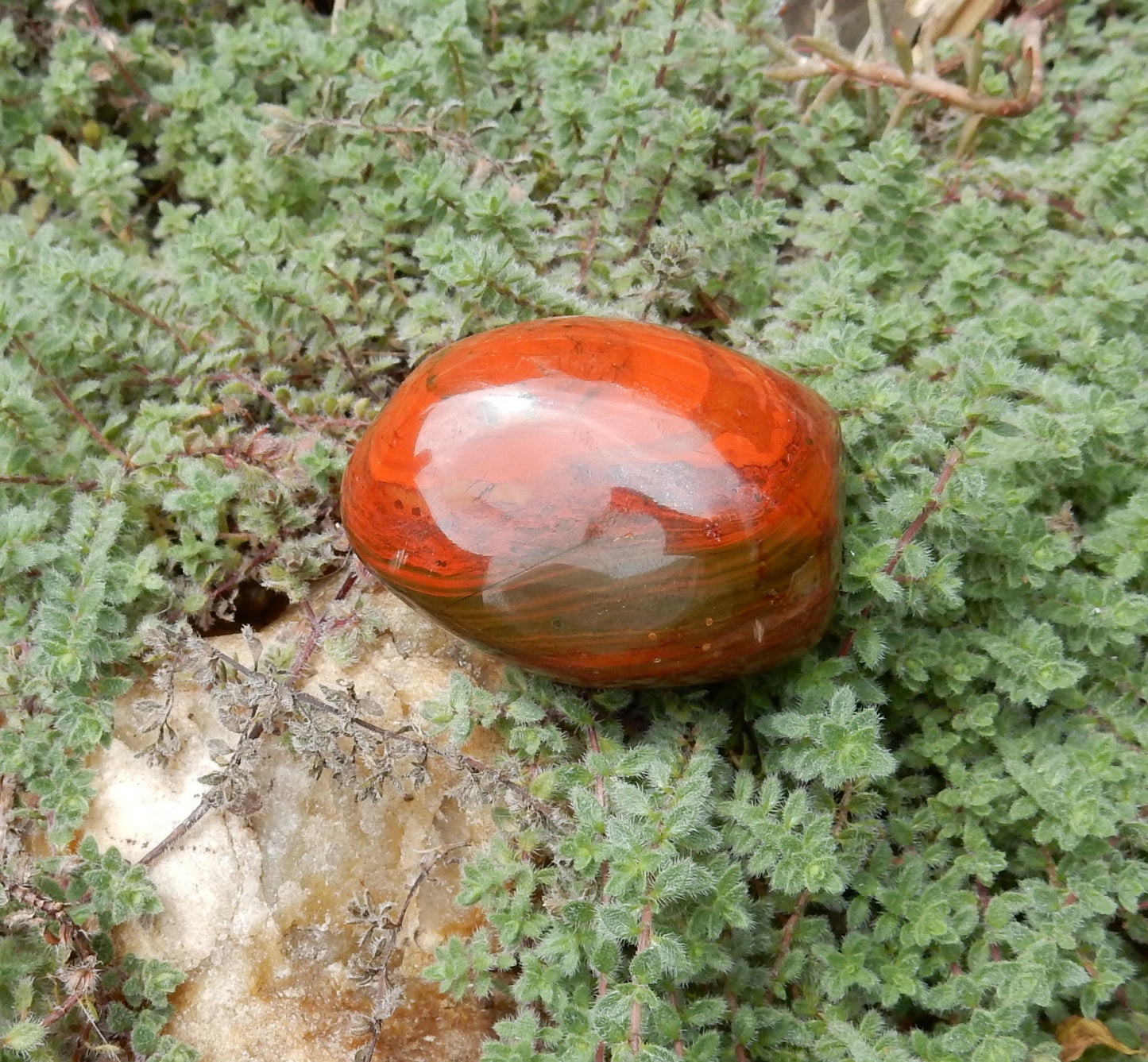 Red Agate Palm Stone - 375 ct - prettyrock.com