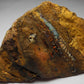 Boulder Opal - 750.5ct - Hand Select Gem Rough - prettyrock.com