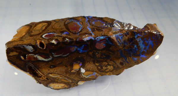 Boulder Opal - 149.95ct - Hand Select Gem Rough - prettyrock.com