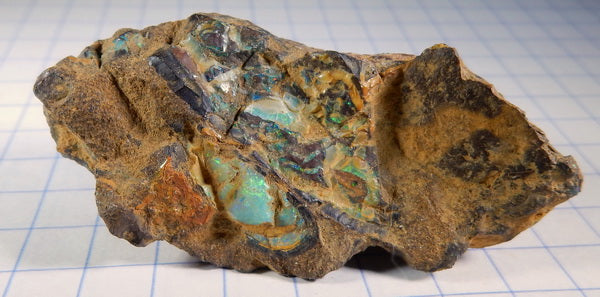 Boulder Opal - 101.15ct - Hand Select Gem Rough - prettyrock.com