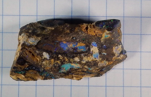 Boulder Opal - 44.75ct - Hand Select Gem Rough - prettyrock.com