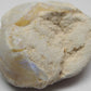 clam opal - 41.68ct - Hand Select Gem Rough - prettyrock.com