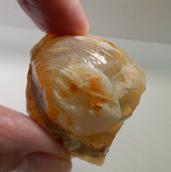 Clam Shell Opal - 93.56ct - Hand Select Gem Rough - prettyrock.com