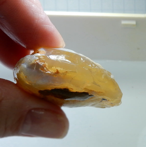 Clam Shell Opal - 93.56ct - Hand Select Gem Rough - prettyrock.com