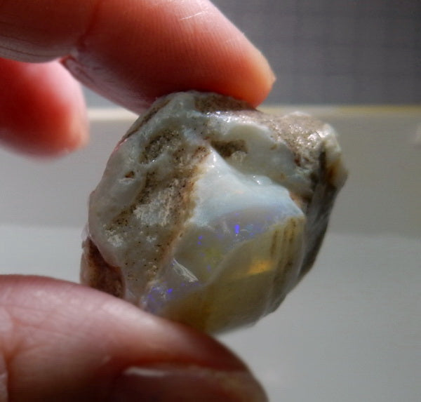 Clam Shell Opal - 55.08ct - Hand Select Gem Rough - prettyrock.com