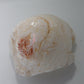 Clam Shell Opal - 91.03ct - Hand Select Gem Rough - prettyrock.com
