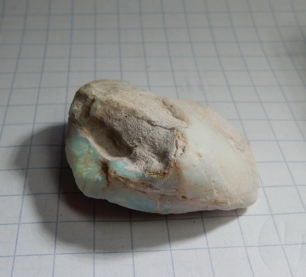 Clam Shell Opal - 67.79ct - Hand Select Gem Rough - prettyrock.com