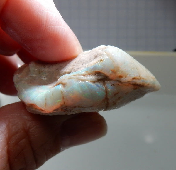 Clam Shell Opal - 67.79ct - Hand Select Gem Rough - prettyrock.com