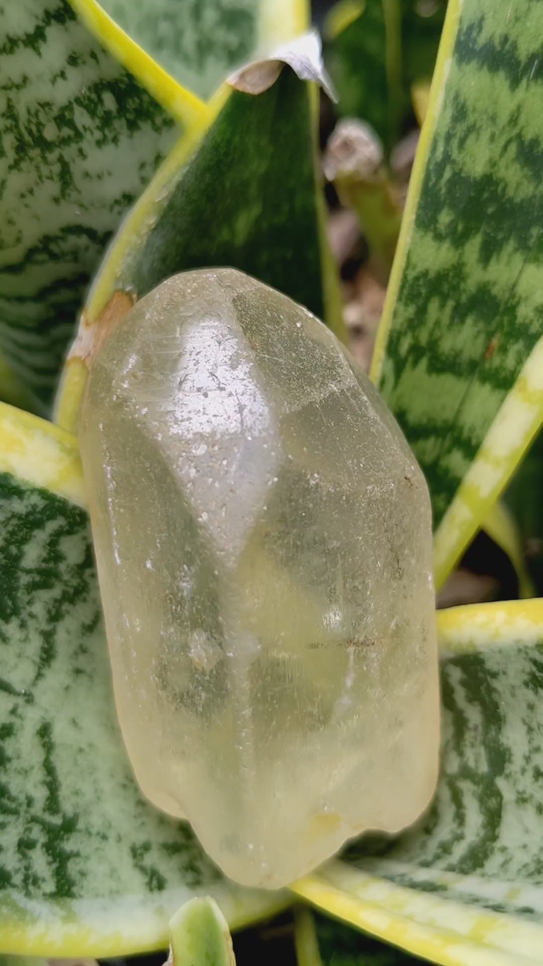 Silver Topaz - 752ct - Hand Select Gem Rough - prettyrock.com