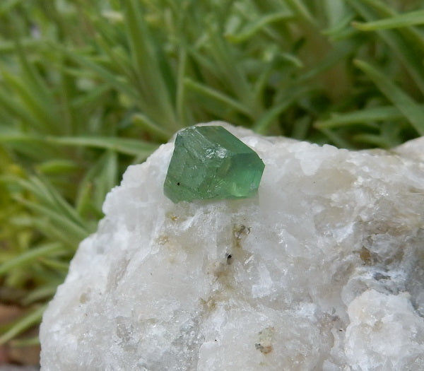 Demantoid Garnet - 896.5ct - Hand Select Gem Rough - prettyrock.com