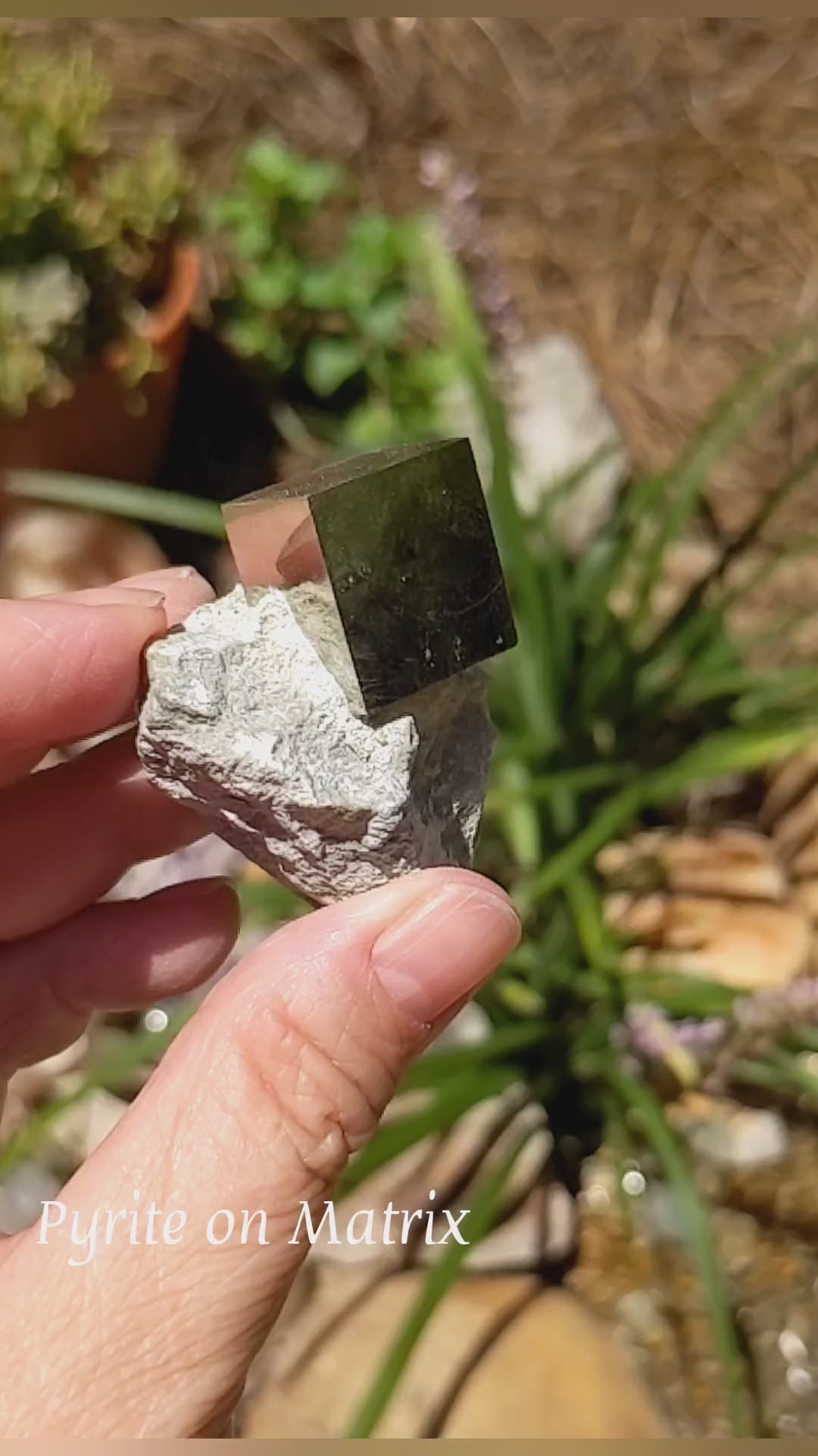Pyrite - Mineral Specimen - 336 ct - prettyrock.com