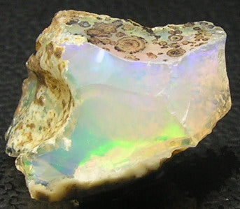 Ethiopian Opal - 9.51ct - Hand Select Gem Rough - prettyrock.com