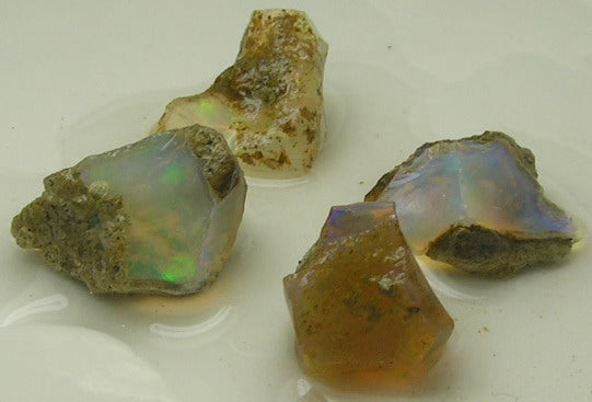 Ethiopian Opal - 20.73ct - Hand Select Gem Rough - prettyrock.com