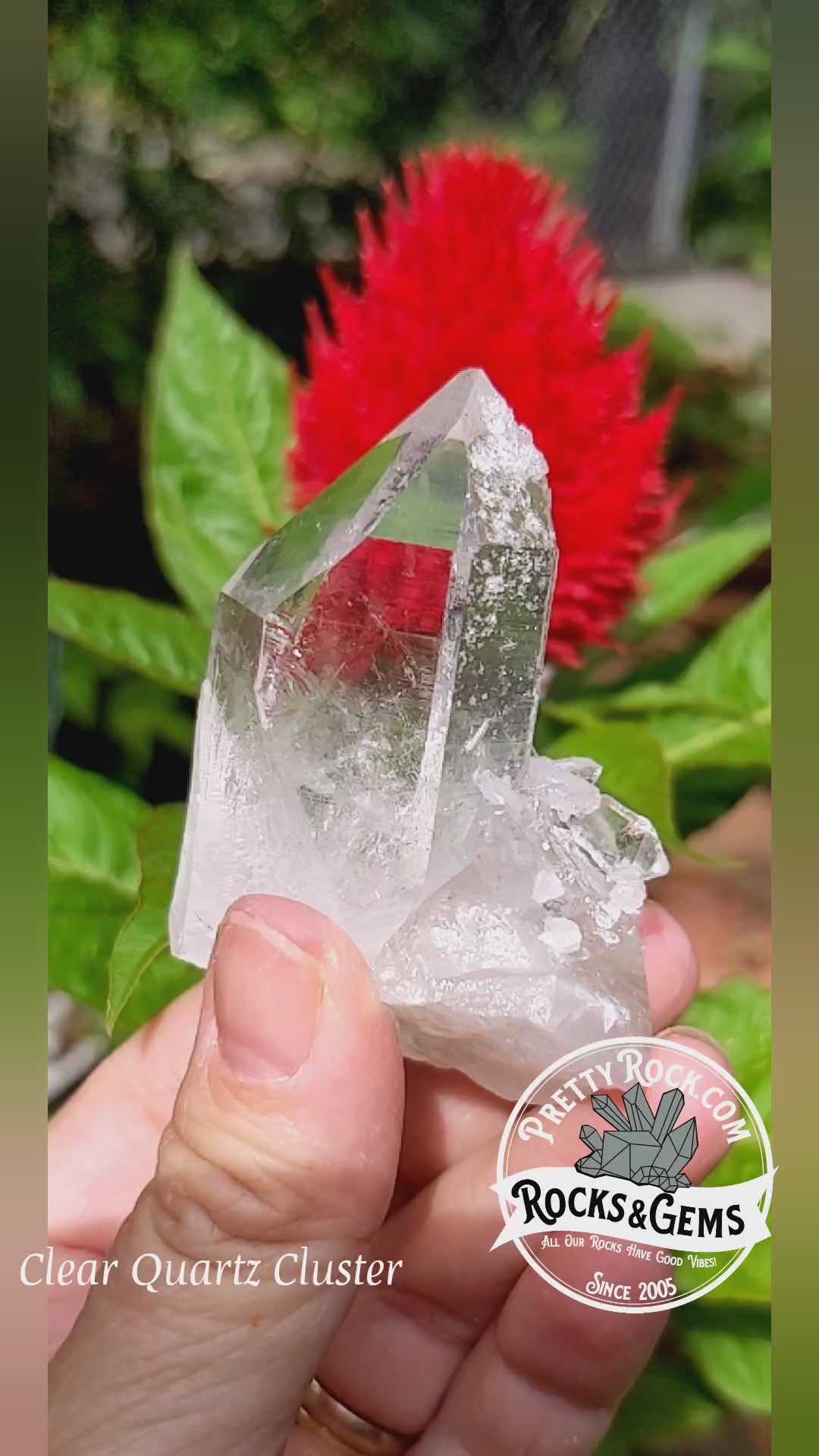 Clear Crystal Quartz Cluster - Mineral Specimen - 465 ct - prettyrock.com